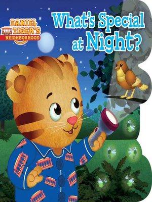 cover image of What's Special at Night?